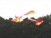 Тренировочная радиоуправляемая модель самолета TIGER TRAINER OBL 2.4GHz Mode 2-фото 3