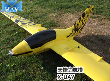 Радиоуправляемая модель планера X-UAV Pioneer PNP-фото 1