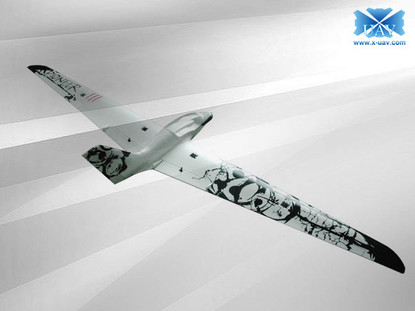 Планер X-UAV Pioneer спортивный электро бесколлекторный 2450мм белый PNF