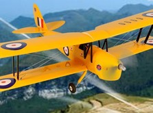 Самолет Dynam De Havilland Tiger Moth RTF 1270 мм-фото 8